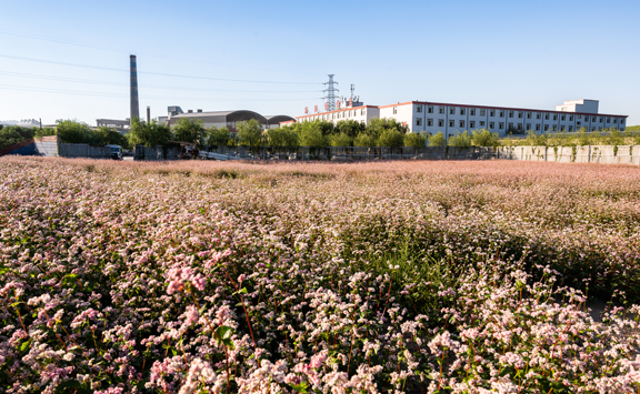 亚洲金属网出访府谷新田